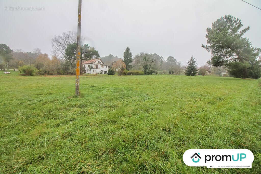 Terrain à SAINT-AULAYE