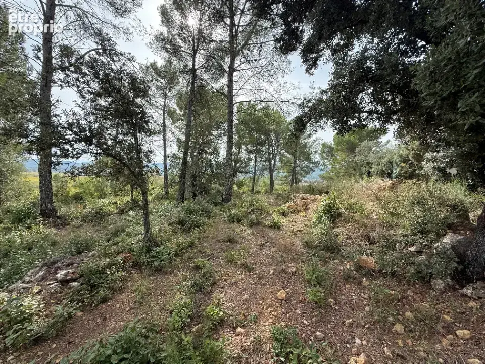 Terrain à SOLLIES-TOUCAS