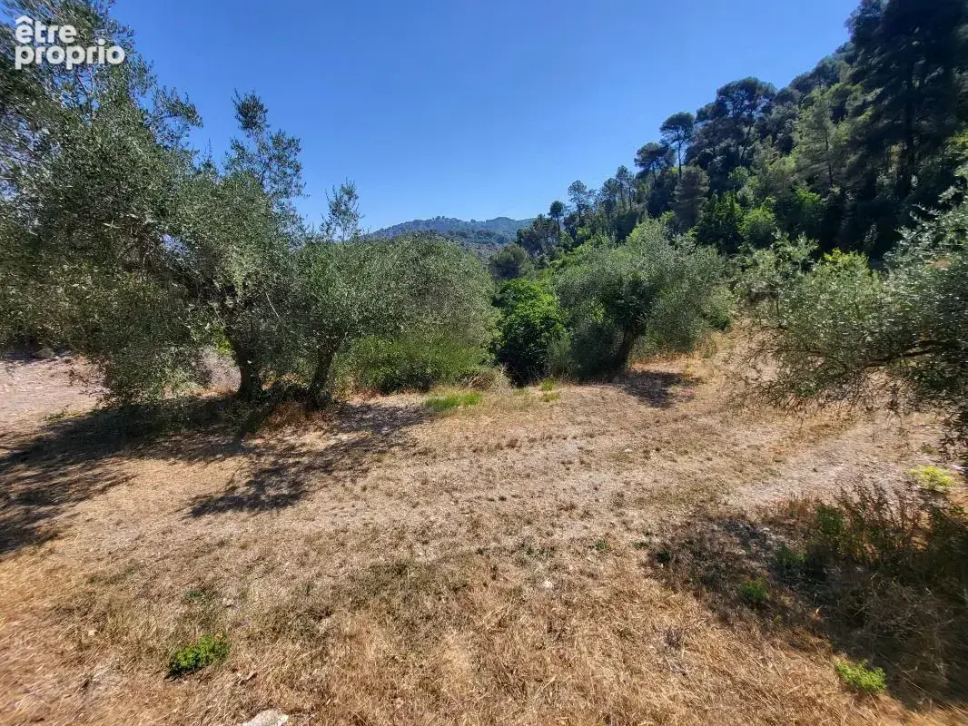 Terrain 3 964 m² à vendre à La Trinite (06340) - photo 2