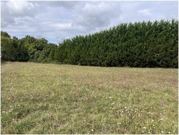 Terrain à MAINE-DE-BOIXE