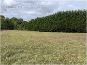 Terrain à MAINE-DE-BOIXE