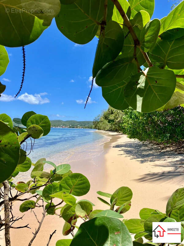 Appartement à GRAND-BOURG