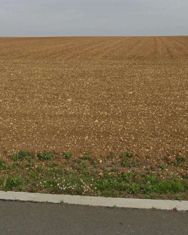 Terrain à SAINT-XANDRE