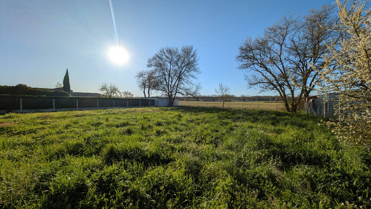 Terrain à PLAISANCE-DU-TOUCH