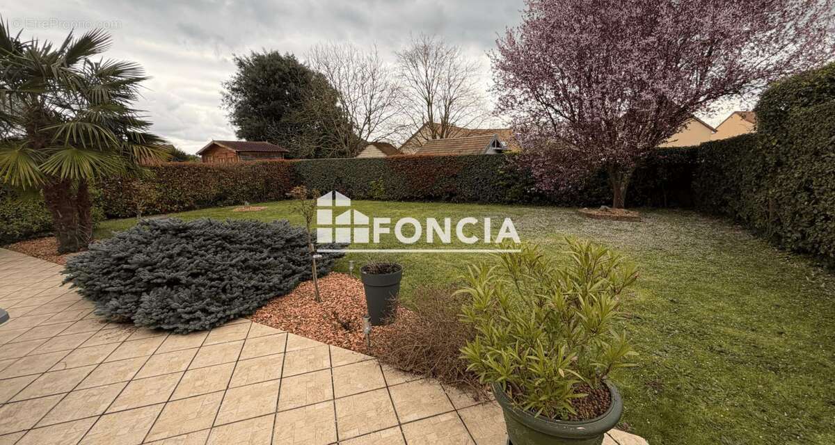 Maison à MONCE-EN-BELIN