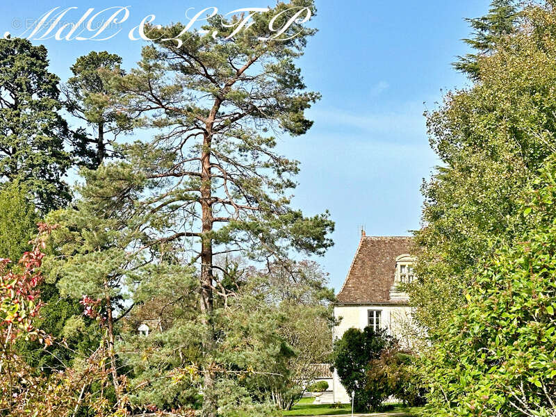 Maison à SAINT-LEON-D&#039;ISSIGEAC