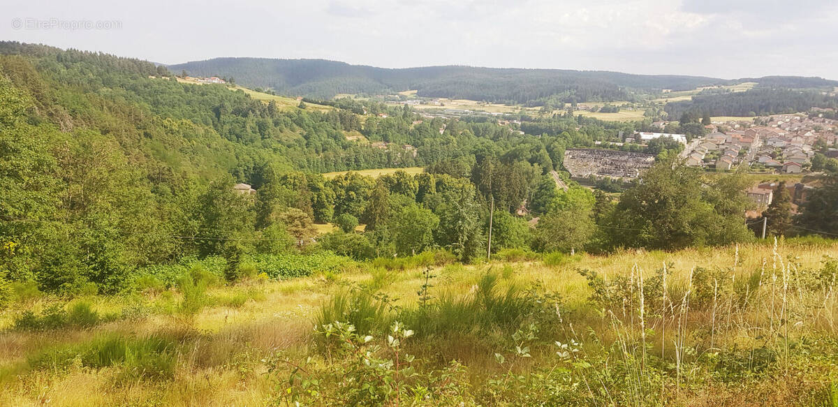 Terrain à DUNIERES