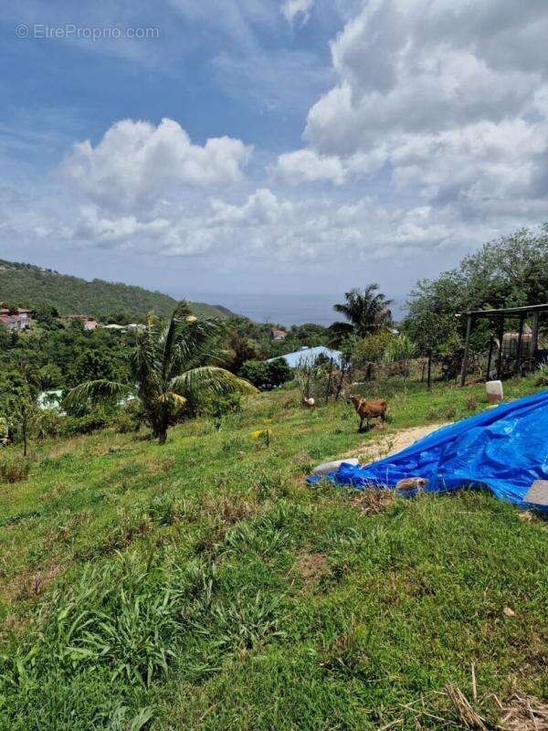 Terrain Le Morne Vert - photo 7