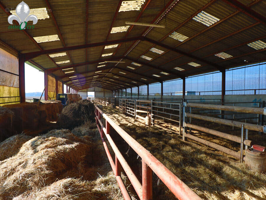 Autre à SAINT-JEAN-DE-LOSNE