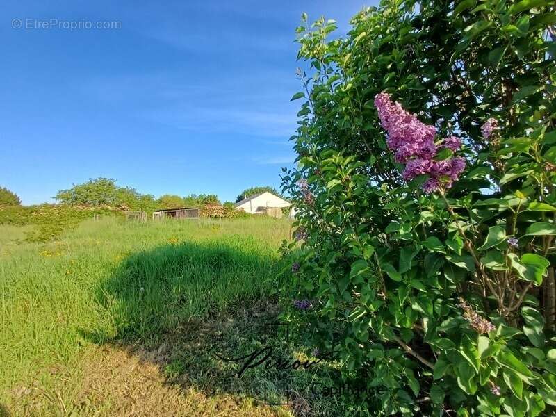 Maison à vendre 6 pièces - Dépendances - 4932 m² - photo 16