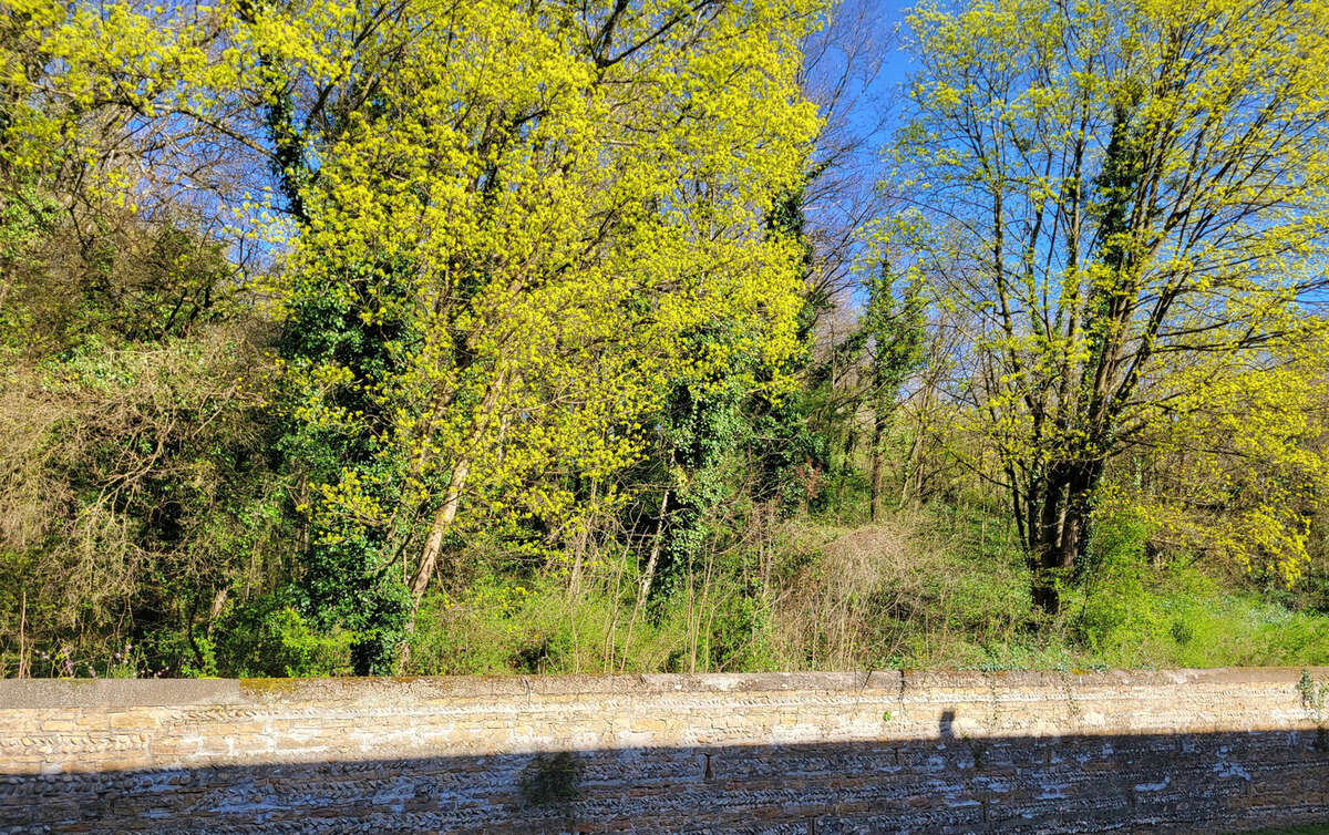 Appartement à NEUVILLE-SUR-SAONE
