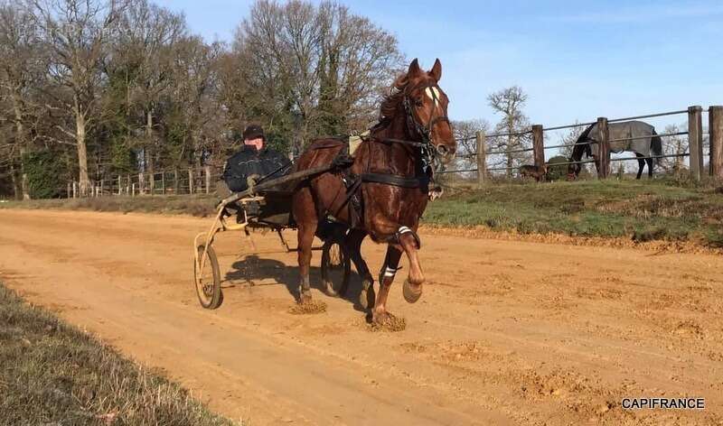 Maison à LA FERTE-BERNARD