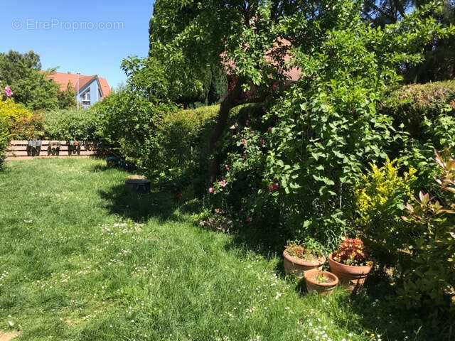 Appartement à ECKWERSHEIM