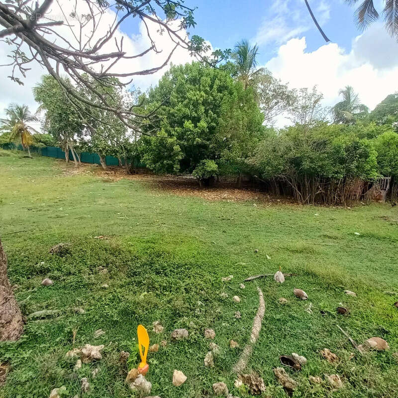 Terrain à LE GOSIER