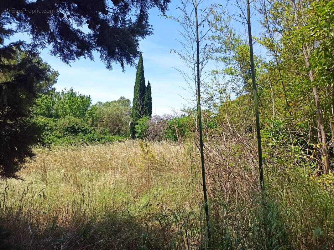 Terrain à FOS-SUR-MER