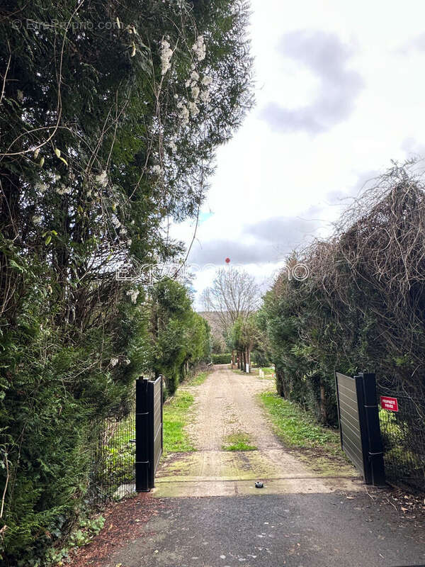 Terrain à MONTVILLE