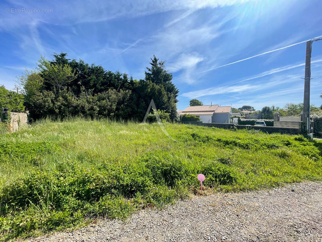 Terrain à TALMONT-SAINT-HILAIRE