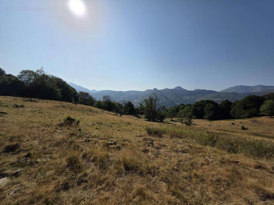 Grange sur les hauteurs en Val d'Azun - photo 10
