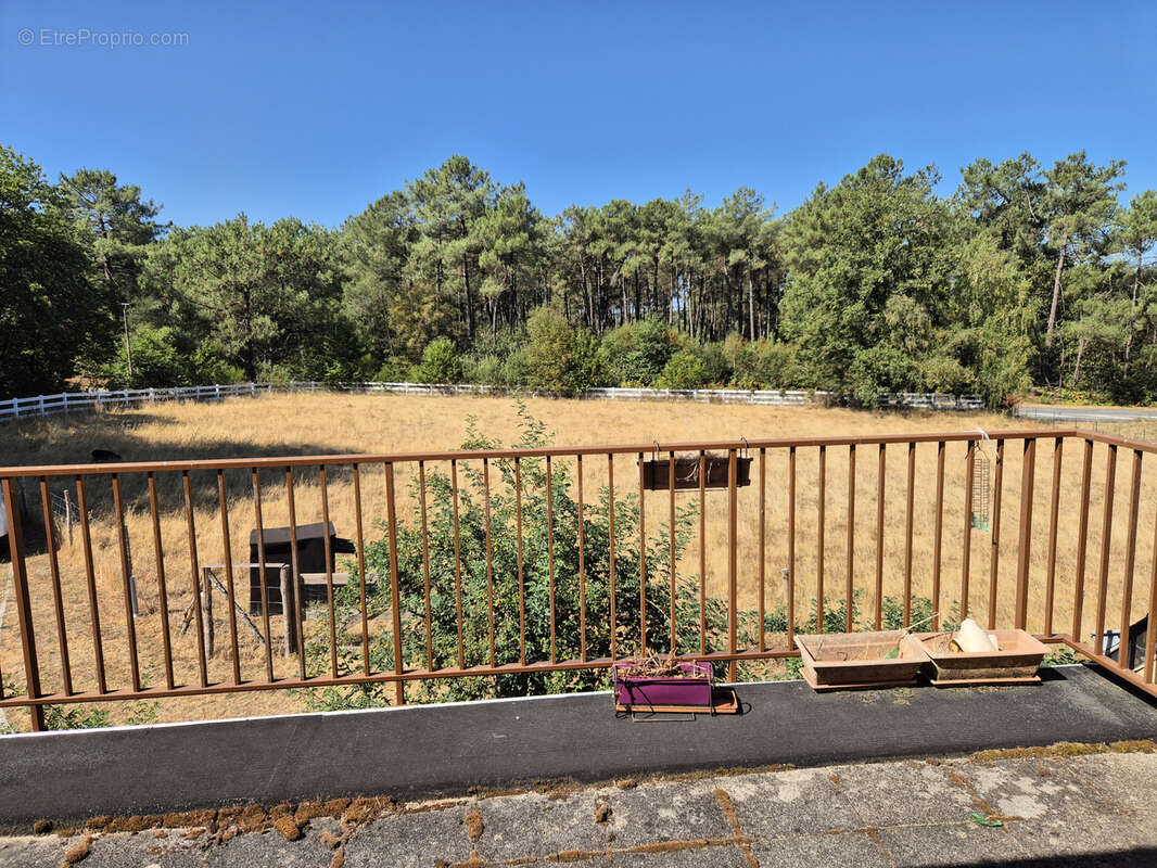 Maison 4 chambres de 129 m2 à Sévérac sur 4486 m2 de terrain. - photo 11