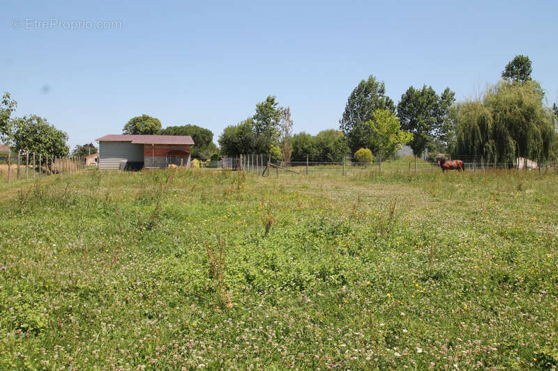 Terrain à CASTELJALOUX