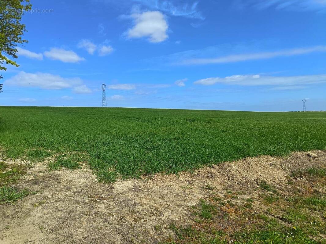 Terrain à LA ROCHELLE