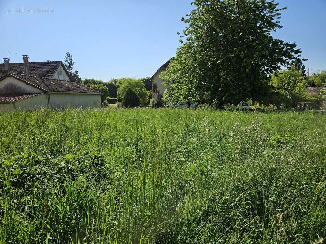 Terrain à VILLENAUXE-LA-GRANDE