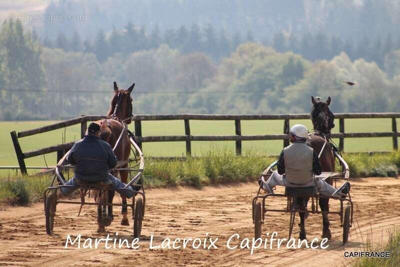 Maison à LA FERTE-BERNARD