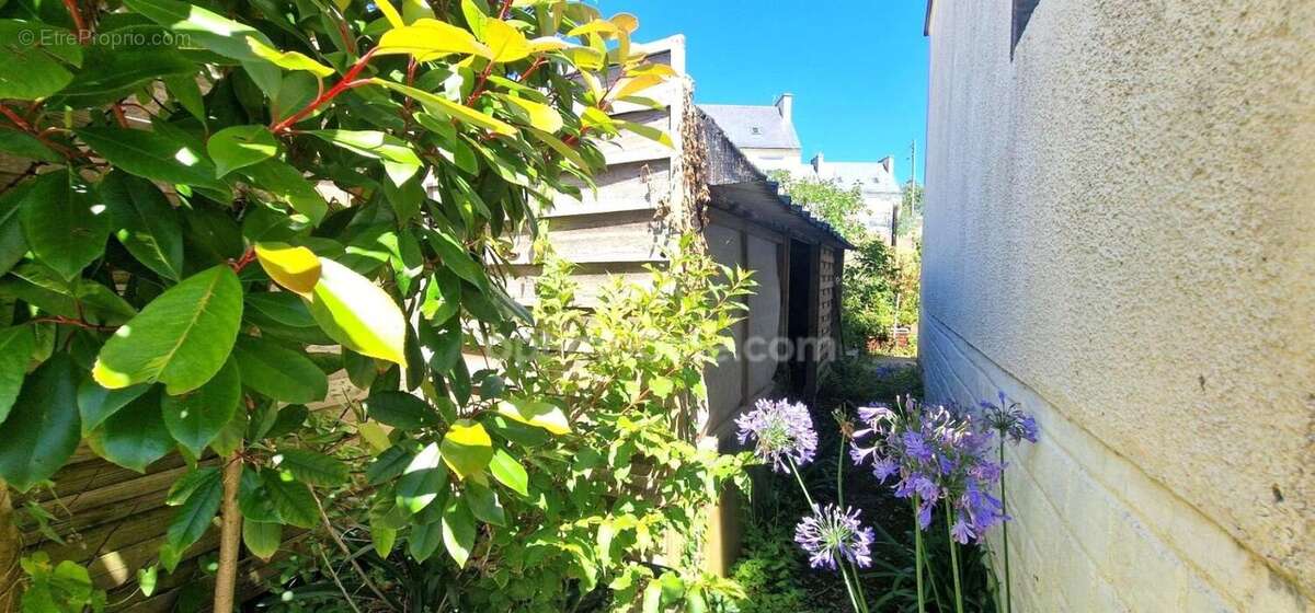 A vendre Bretagne-Finistère sud-Tréboul-Maison-sous-sol-garage-jardin - photo 14