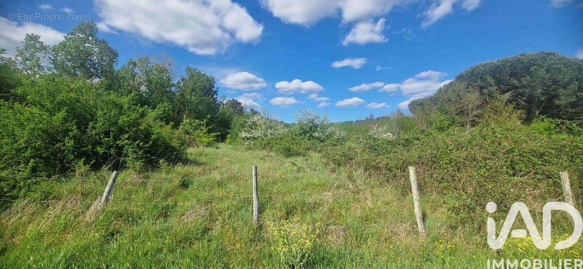 Photo 2 - Terrain à SAINT-LAURENT-DES-HOMMES
