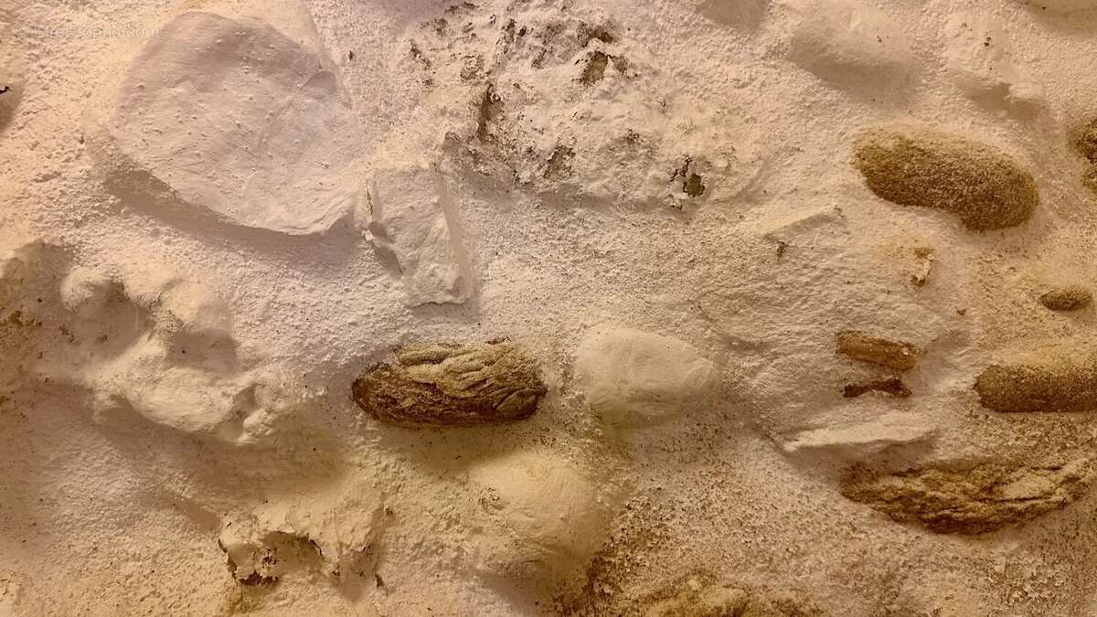 Appartement de village rénové avec caves voûtées — Haut de Cagnes - photo 24
