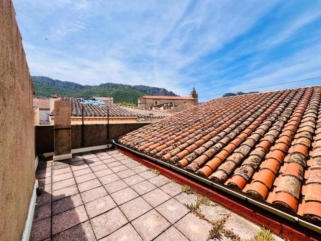 Photo 9 - Appartement à SAINT-PAUL-DE-FENOUILLET