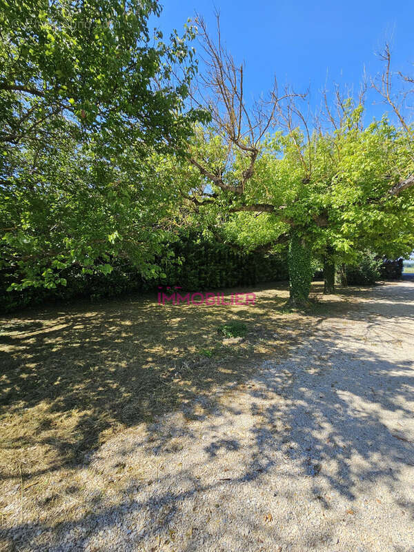 Maison à PERNES-LES-FONTAINES