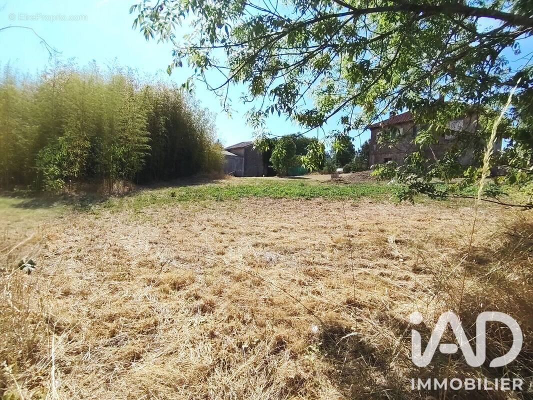 Photo 1 - Terrain à JARNAC