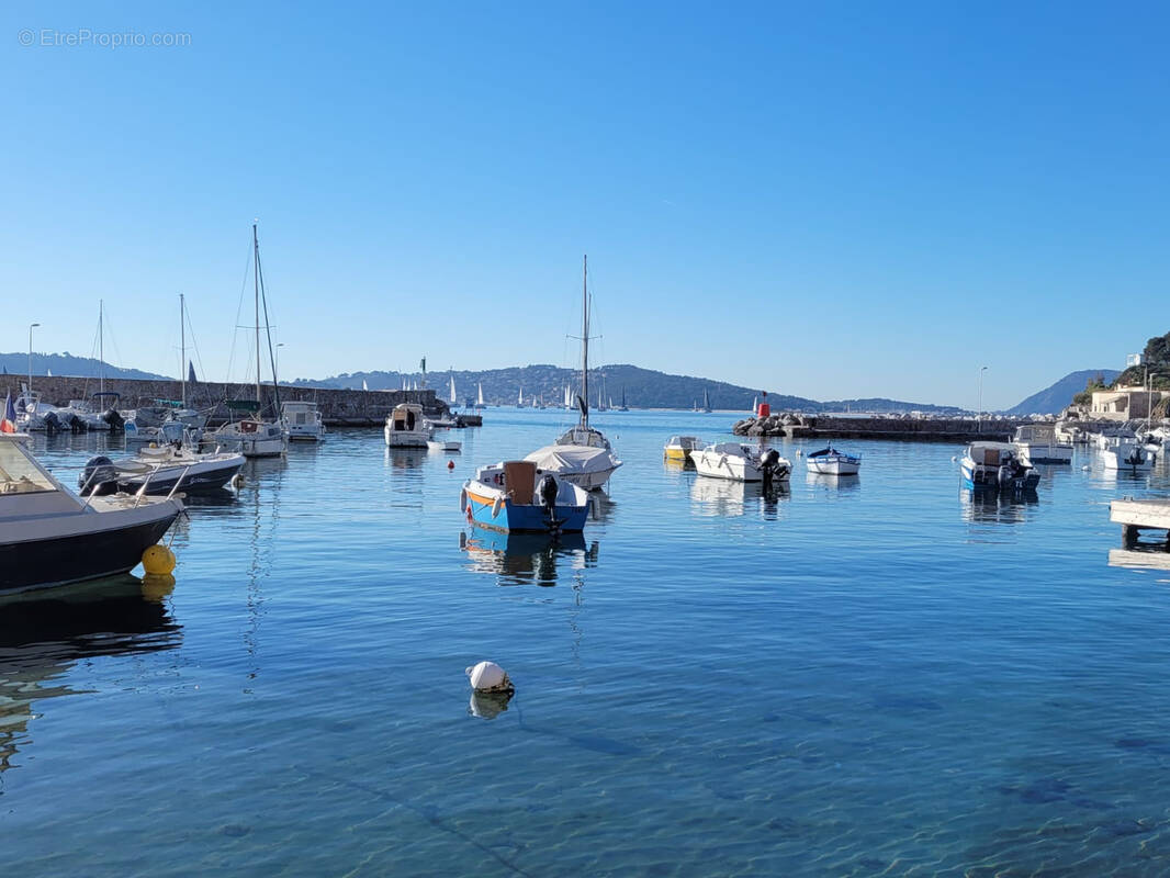 Commerce à LE LAVANDOU