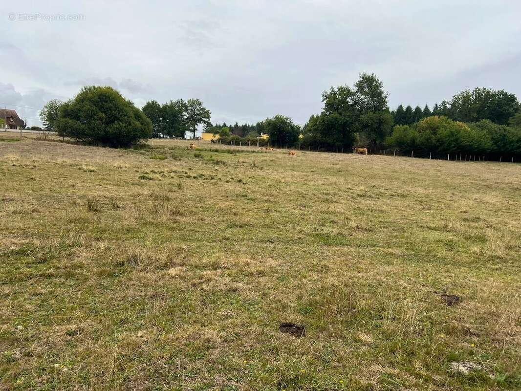 Maison à CHAMPNIERS-ET-REILHAC