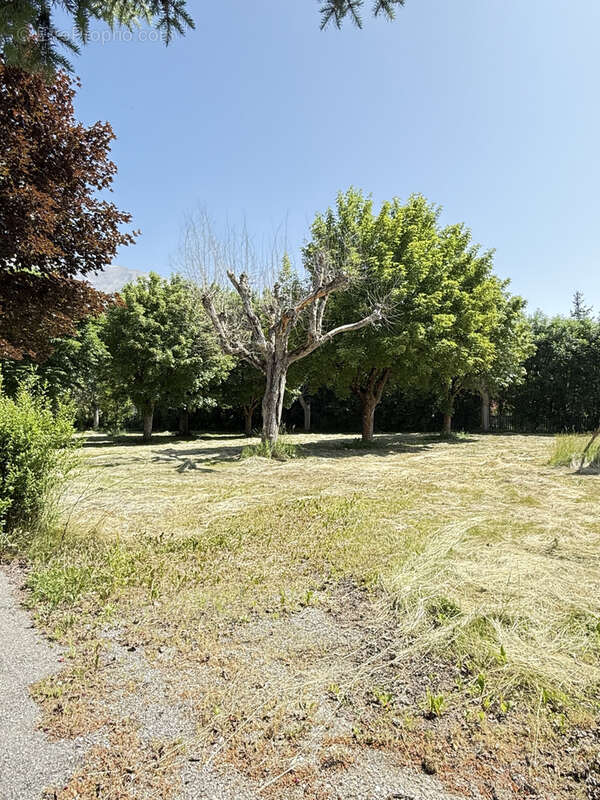 Terrain constructible Barcelonnette - photo 3