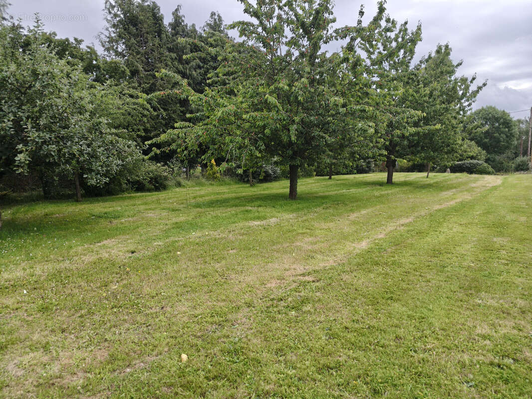 Maison à THIBERVILLE