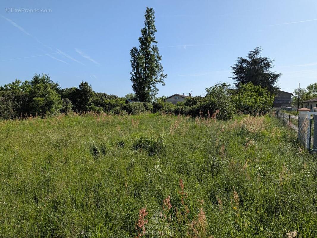 Terrain à PALAMINY