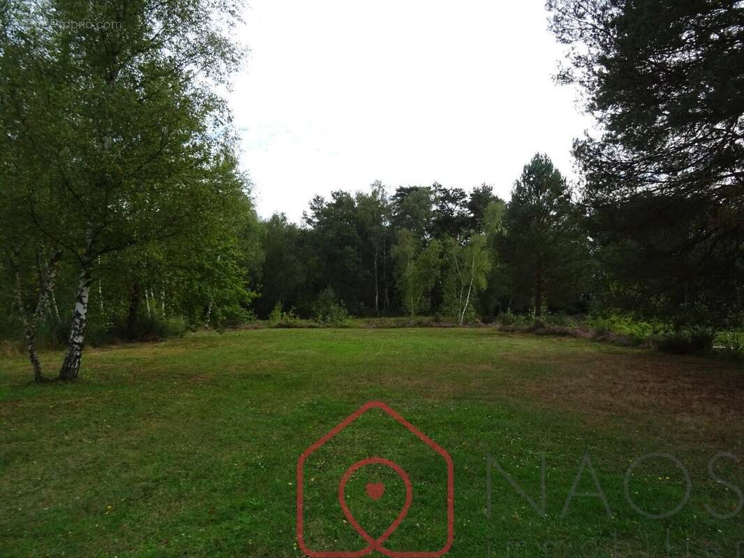 Maison à SAINTE-MONTAINE