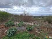 Terrain à SAINT-PAUL