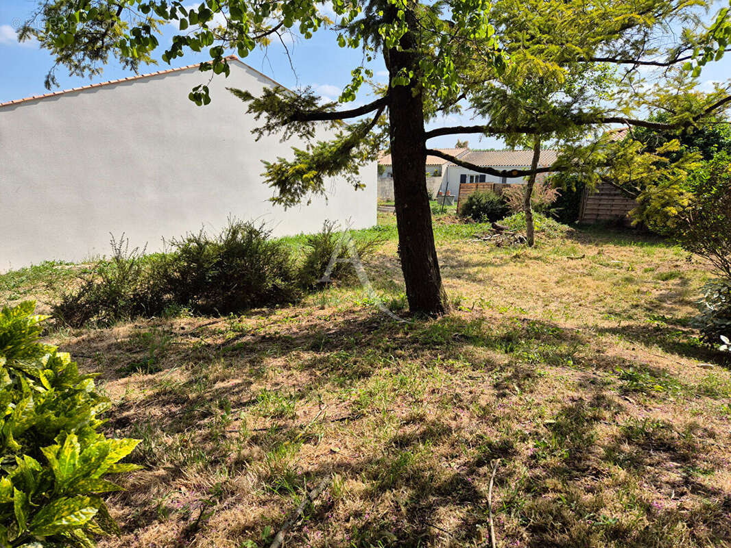 Terrain à VILLEDOUX