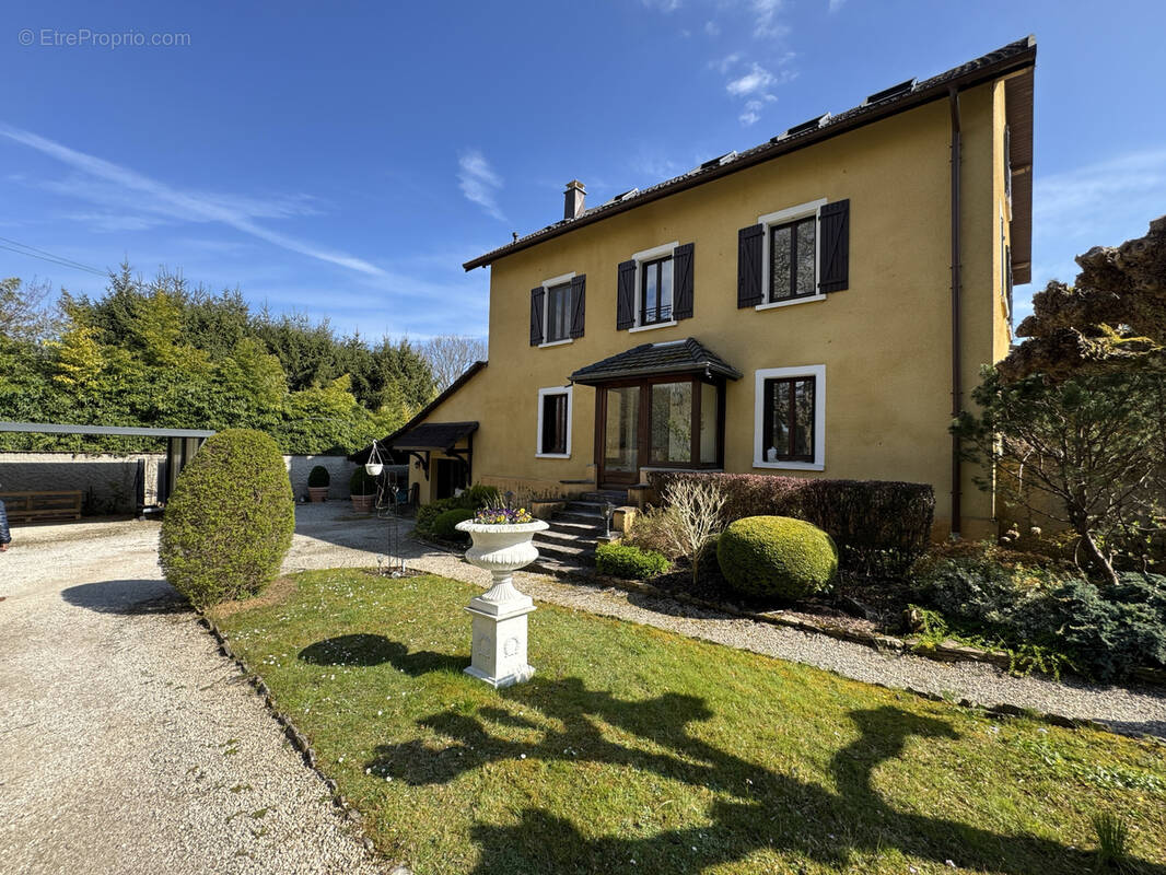 Appartement à OFFEMONT