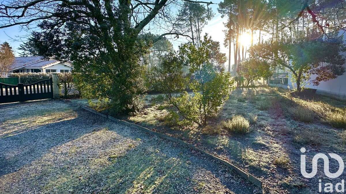 Photo 7 - Maison à ANDERNOS-LES-BAINS