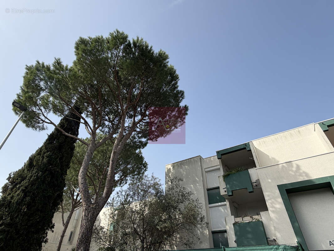 Appartement à MONTPELLIER