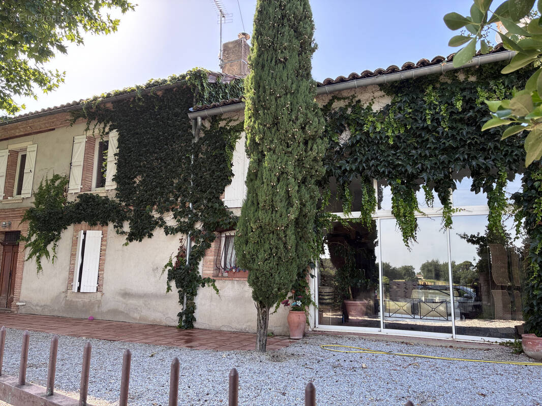 Maison à LISLE-SUR-TARN