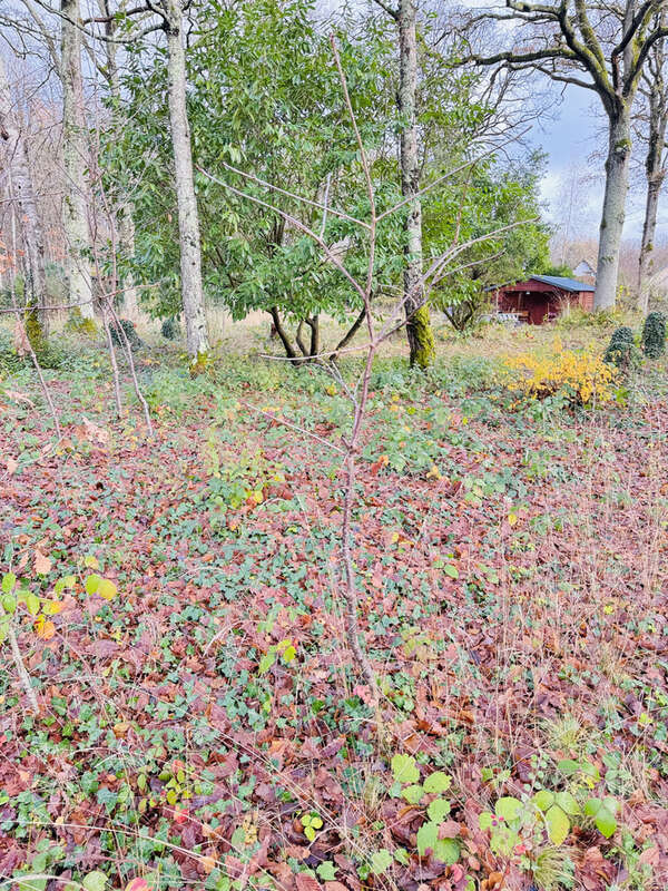 Maison à SAINT-HILAIRE-LES-ANDRESIS