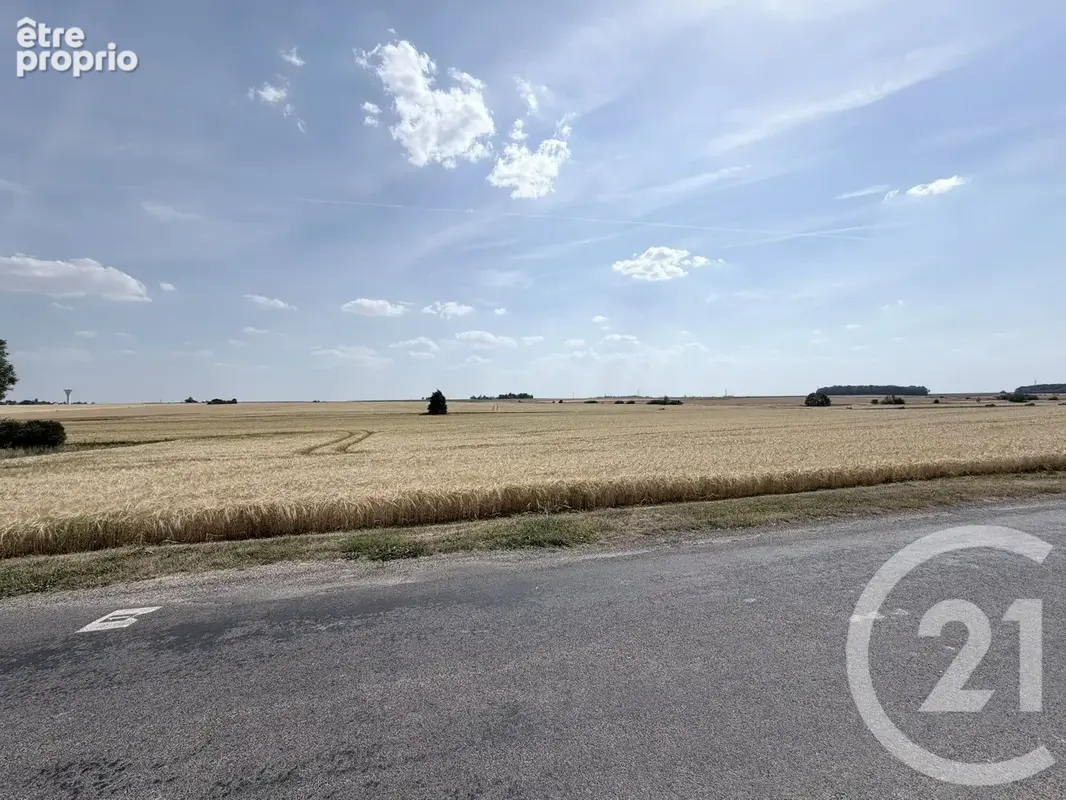 Terrain 1 062 m² à vendre à Rampillon (77370) - photo 3