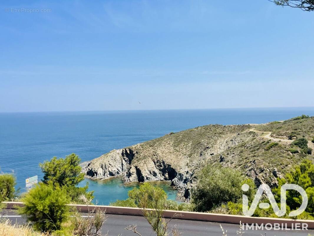 Photo 1 - Appartement à BANYULS-SUR-MER