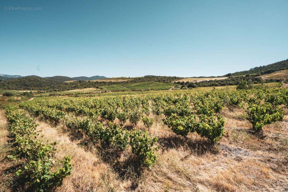 Terrain à CASCASTEL-DES-CORBIERES