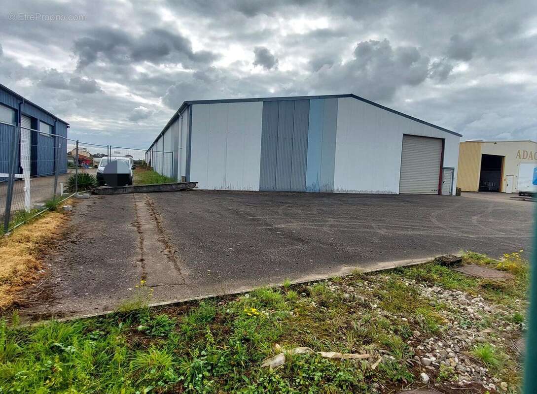 Photo 5 - Commerce à DUTTLENHEIM